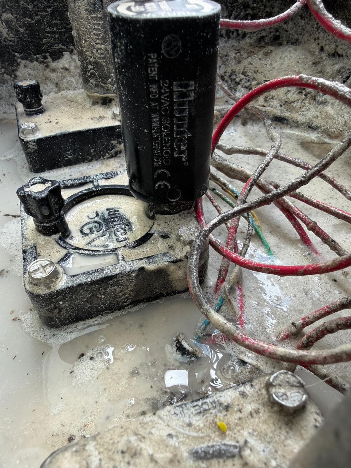 Dirty sprinkler valve solenoid and wiring inside an irrigation valve box with standing water.