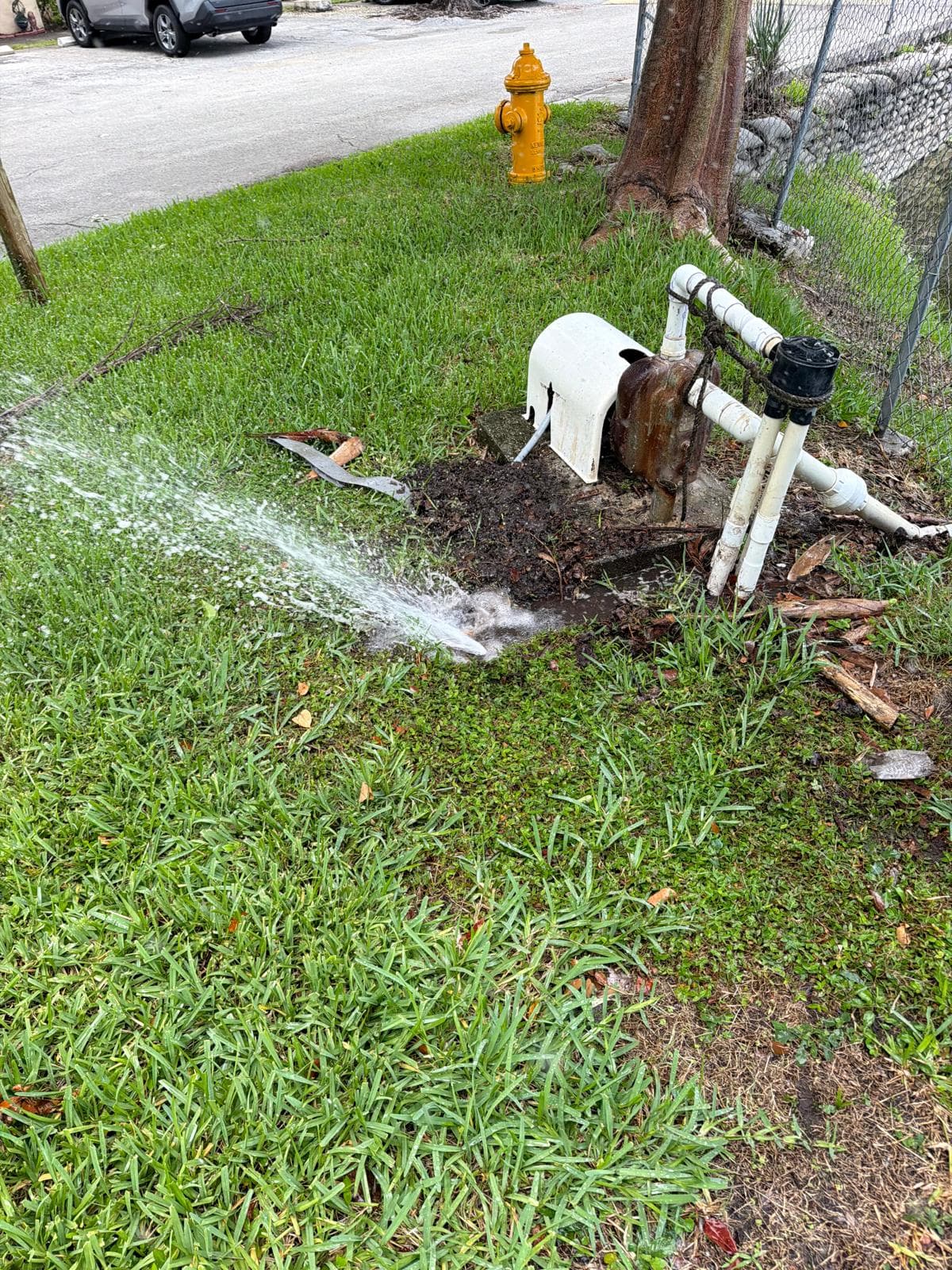 Sprinkler system leak with water pooling in a Miami yard