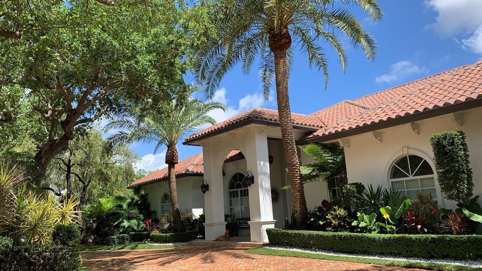 Luxury South Florida home with palm trees and professionally maintained landscaping